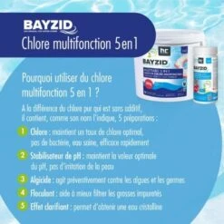 1 X 5 Kg Bayzid Galets De Chlore Multifonction (200g) 10 1 X 5 Kg Bayzid Galets De Chlore Multifonction (200g) -Trait Piscine Soldes Magasin 2579556 4