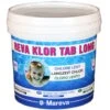 Désinfectant Longue Durée Reva-Klor Tab Long 2 MAREVA - 5kg En Galets De 500 G - 100180U 1 Désinfectant Longue Durée Reva-Klor Tab Long 2 MAREVA - 5kg En Galets De 500 G - 100180U -Trait Piscine Soldes Magasin 47946226 1
