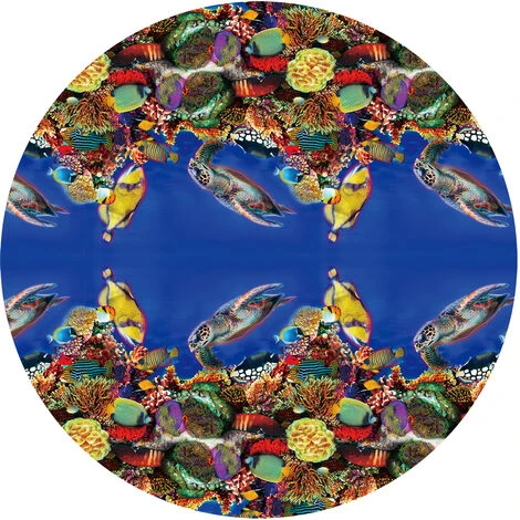 Piscine Auto Transparente ø 2,44m X76cm SUMMER WAVES 5 Piscine Auto Transparente ø 2,44m X76cm SUMMER WAVES – Image 3