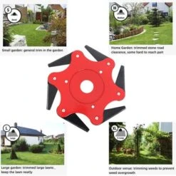 Tete De Tondeuse, Tondeuse A 6 Lames En Acier 10 Tete De Tondeuse, Tondeuse A 6 Lames En Acier -Trait Piscine Soldes Magasin 96762893 4