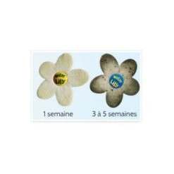Water Lily Purificateur D'eau - Boite De 6 Fleurs Absorbantes 8 Water Lily Purificateur D'eau - Boite De 6 Fleurs Absorbantes -Trait Piscine Soldes Magasin 97093342 3